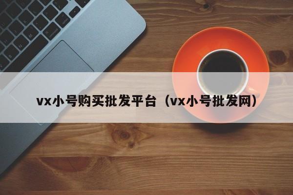 vx小号购买批发平台（vx小号批发网）