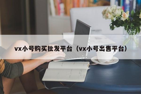 vx小号购买批发平台（vx小号出售平台）