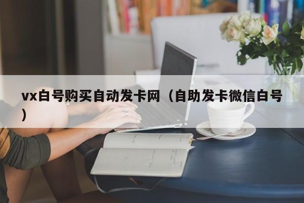 vx白号购买自动发卡网（自助发卡微信白号）