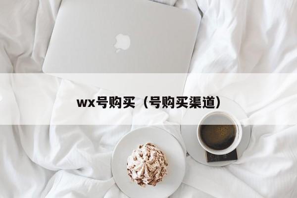 wx号购买（号购买渠道）